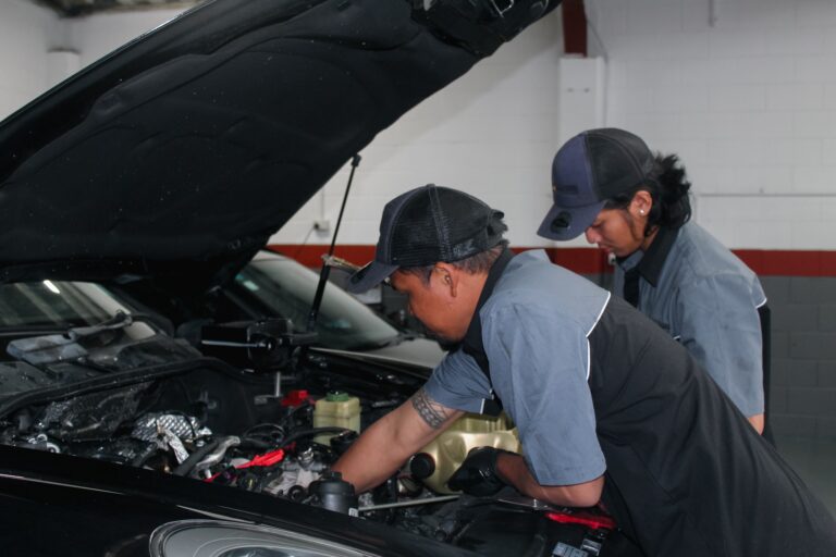 450121116 122134940348264420 2025396210905318520 n 768x512