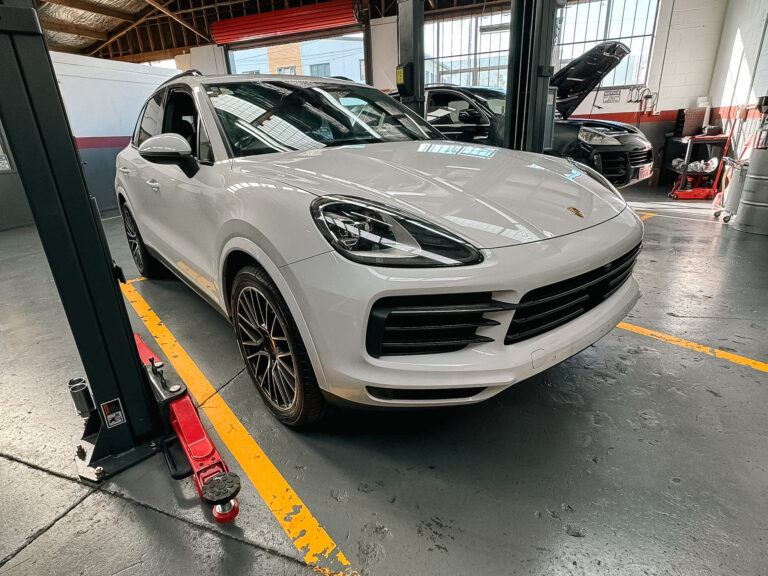 454202689 122141158844264420 2055059169829473525 n 768x576